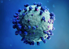 Coronavirus Coronavirus