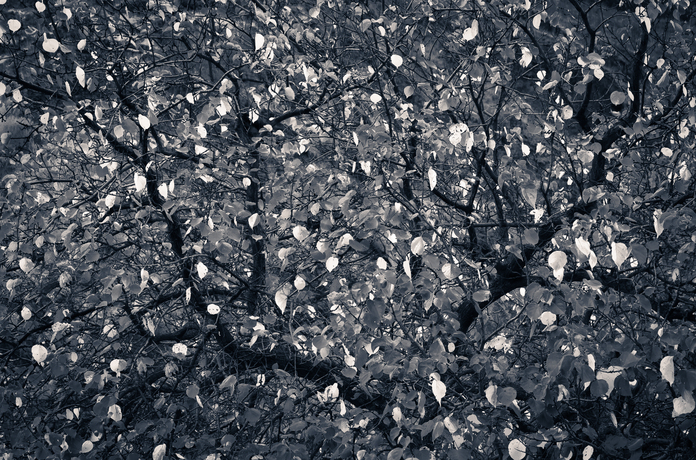 May 19 2025 Masters Salon Web 01