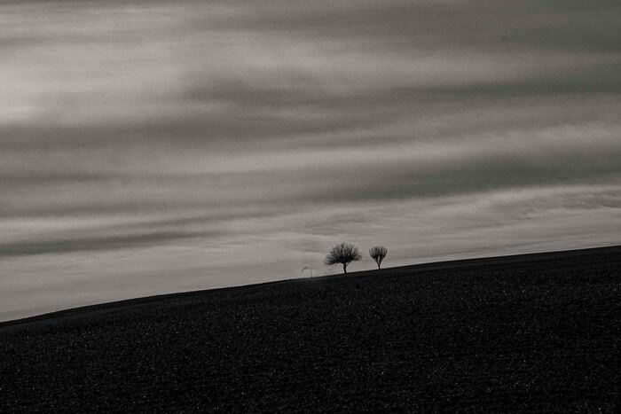 May 19 2025 Masters Salon Web 01