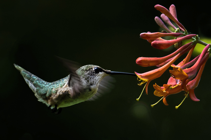 May 19 2025 Masters Salon Web 01