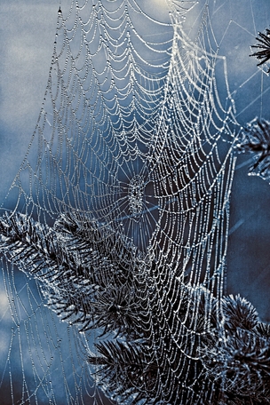 May 19 2025 Masters Salon Web 01