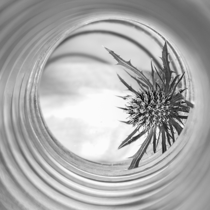 May 19 2025 Masters Salon Web 01