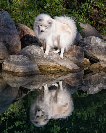 May 19 2025 Int Adv Salon Web 01