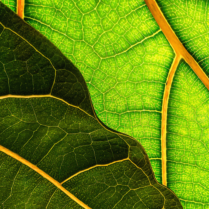 May 19 2025 Int Adv Salon Web 01