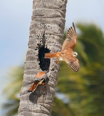 May 19 2025 Int Adv Salon Web 01