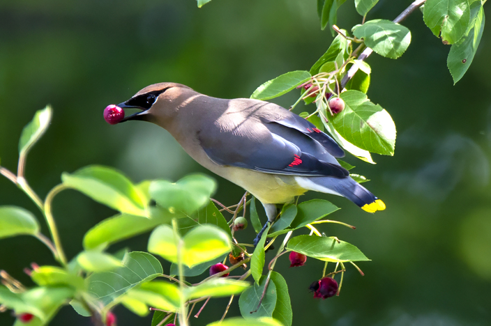 May 19 2025 Beginner Salo Web 01