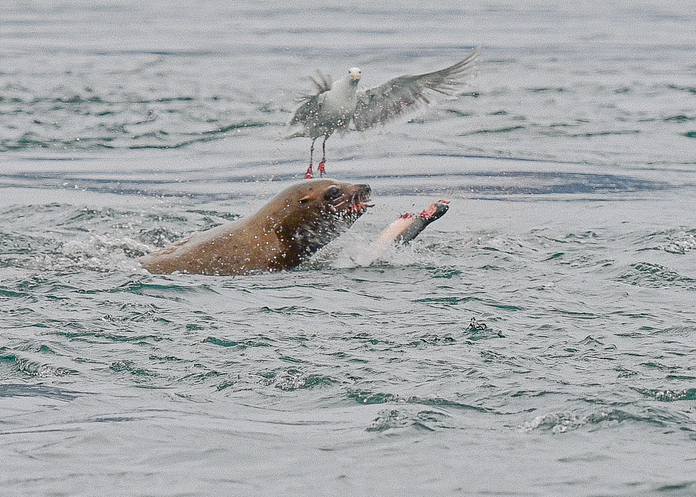 May 19 2025 Beginner Salo Web 01