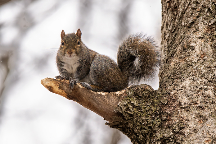 May 19 2025 Beginner Salo Web 01