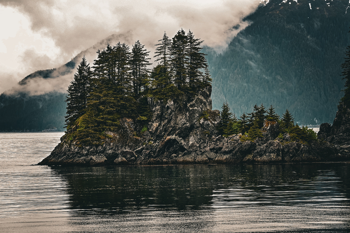 May 19 2025 Beginner Salo Web 01