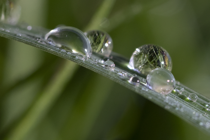 May 19 2025 Beginner Salo Web 01