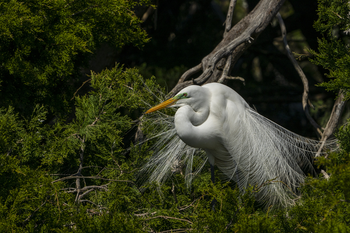 May 19 2025 Beginner Salo Web 01