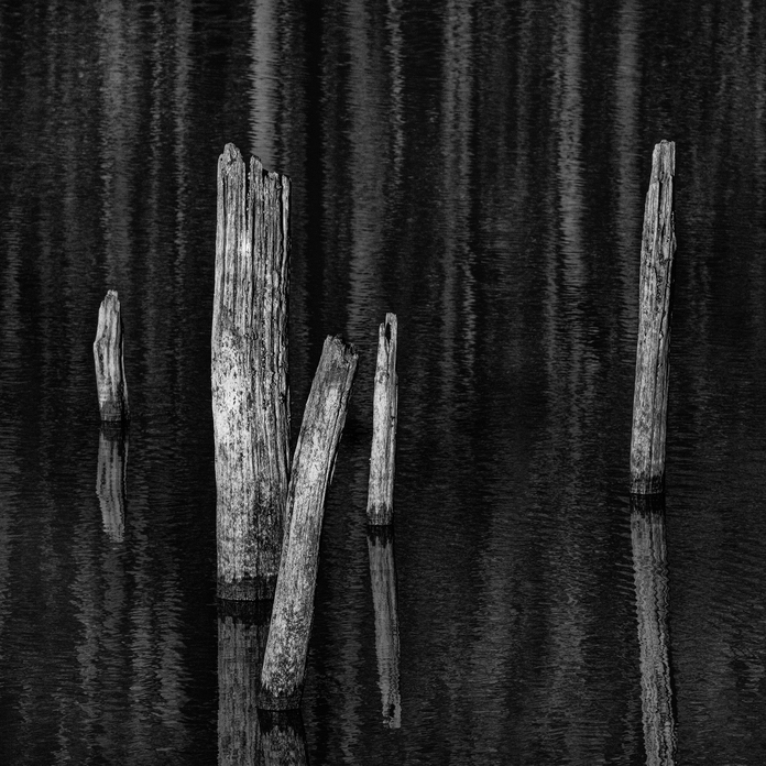 May 19 2025 Beginner Salo Web 01