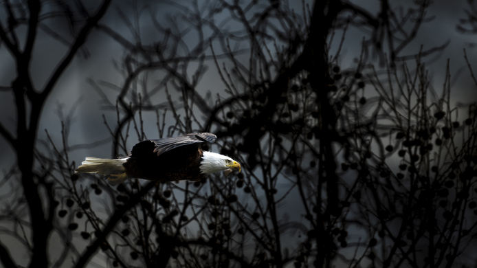 May 19 2025 Beginner Salo Web 01